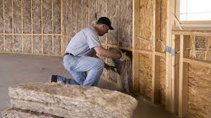 Best Crawl Space Insulation  in Glen Ellyn, IL